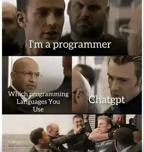 chatgpt programmer